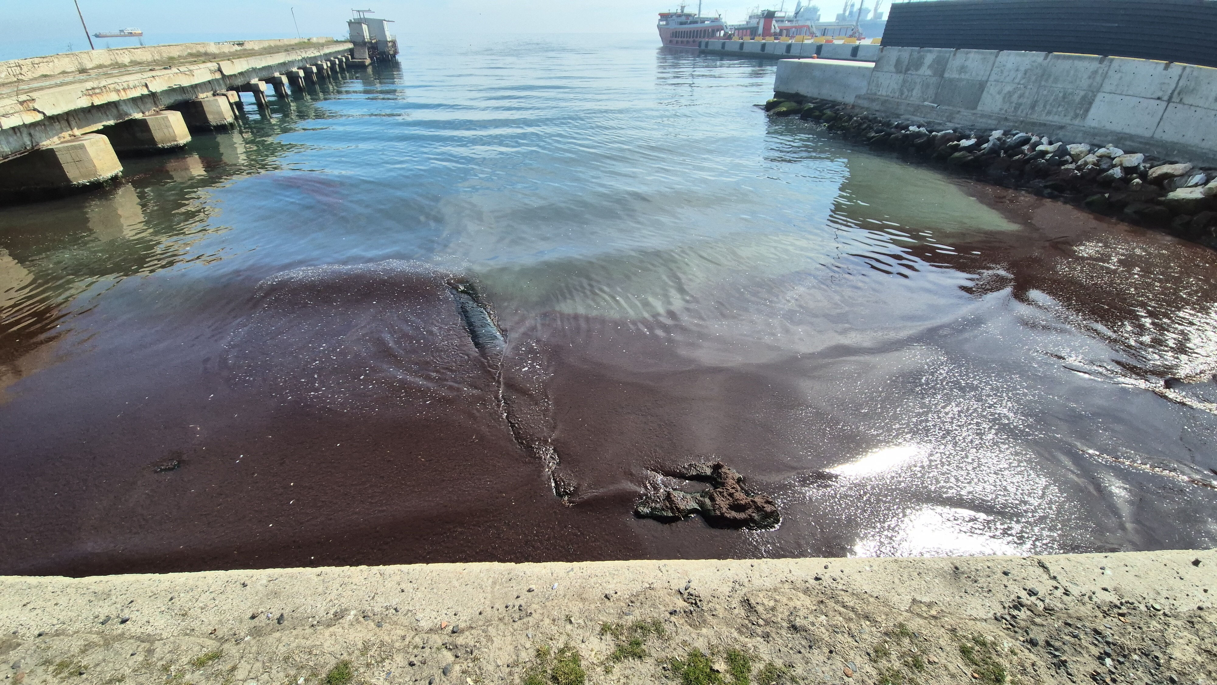 Korkutan görüntüler Marmara Denizi’nden! Kızıl yosun istilası sürüyor Korkutan görüntüler Marmara Denizi’nden! Kızıl yosun istilası sürüyor - 1. Resim