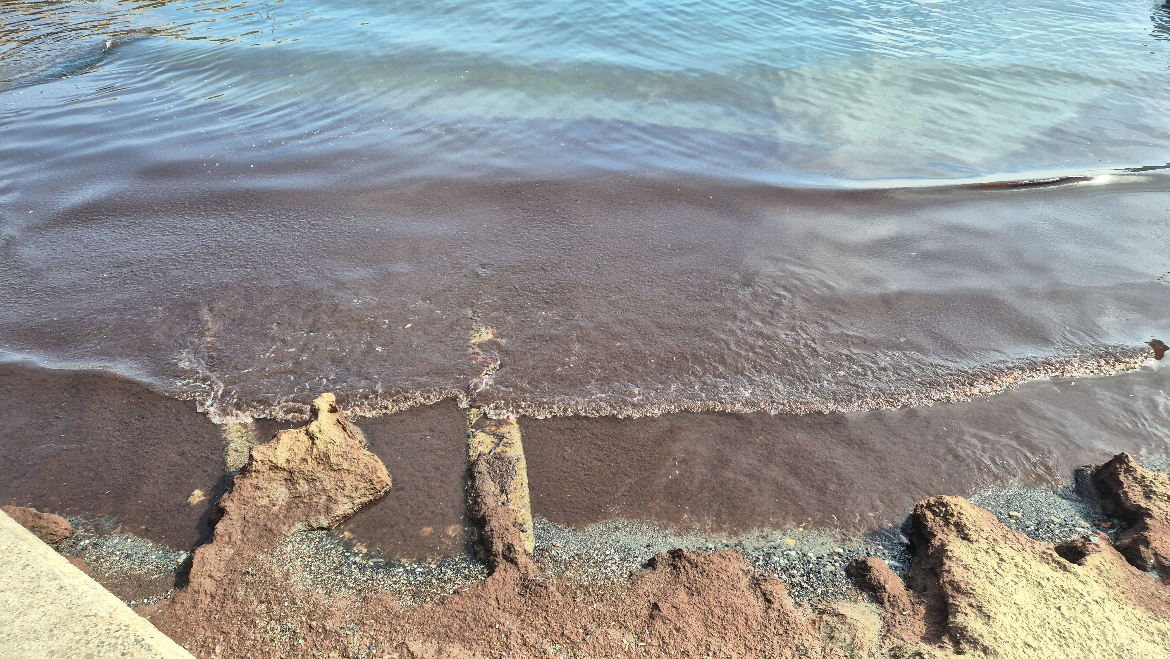 Korkutan görüntüler Marmara Denizi’nden! Kızıl yosun istilası sürüyor Korkutan görüntüler Marmara Denizi’nden! Kızıl yosun istilası sürüyor - 2. Resim