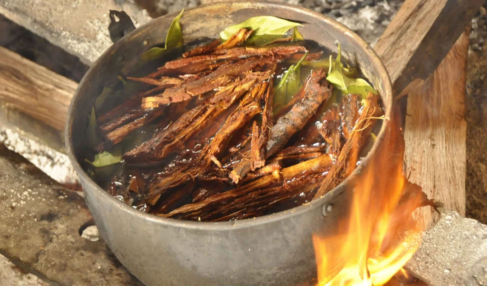Ayahuasca nedir? Ayahuasca neden yasaklandı? Ayahuasca nedir? Ayahuasca neden yasaklandı? - 4. Resim