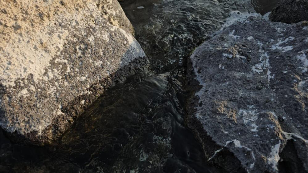 Bitlis'te ürküten manzara! Arin Gölü'ne gidenler fark etti Bitlis'te ürküten manzara! Arin Gölü'ne gidenler fark etti - 1. Resim