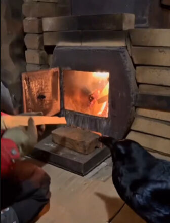 Görenleri hayrete düşürdü! Sobaya odun taşıyan Erzurumlu karga viral oldu - 1. Resim