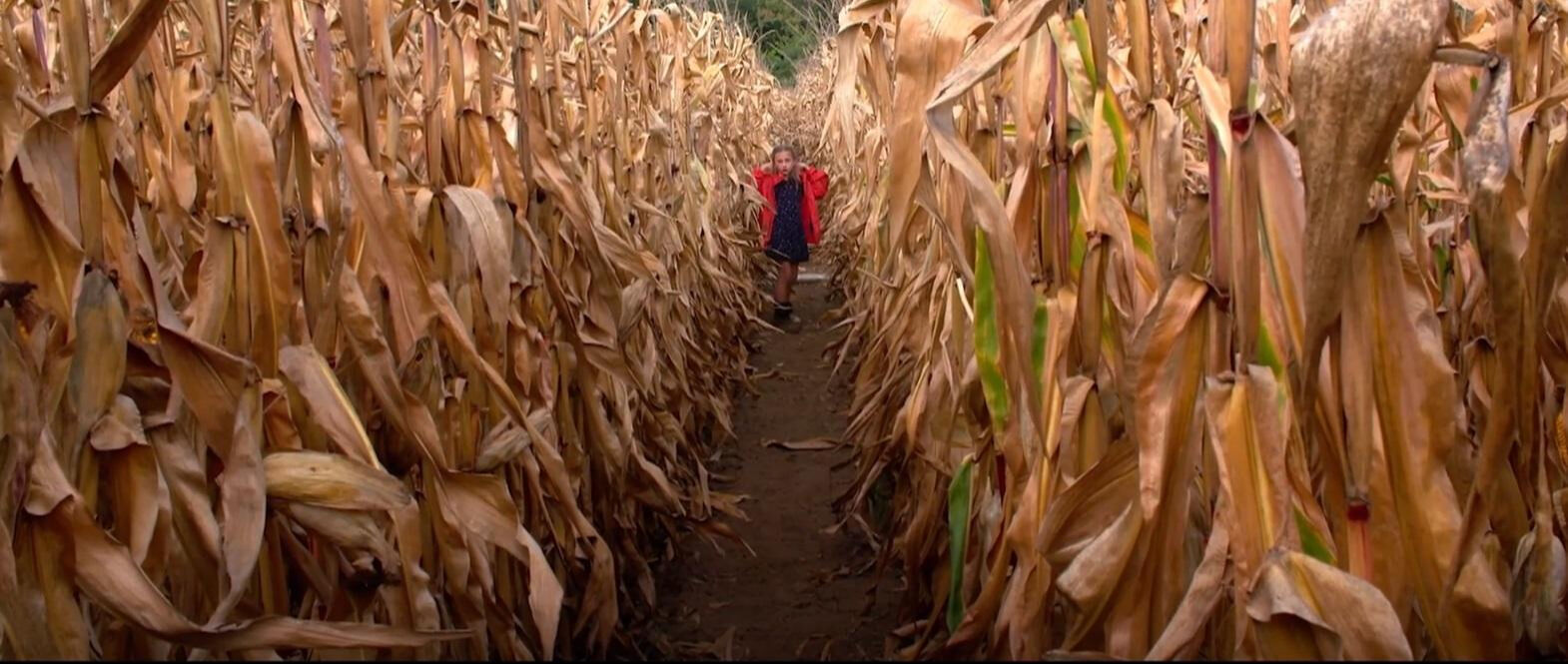 Sinemada bu hafta | Ölüp ölüp diriliyor! Bilim kurguya sıra dışı bir eleştiri: ‘Mickey 17’ - 2. Resim