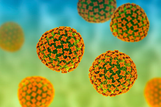 Yeni ölümcül virüs yayılıyor: Uzmanlar alarma geçti! - 1. Resim