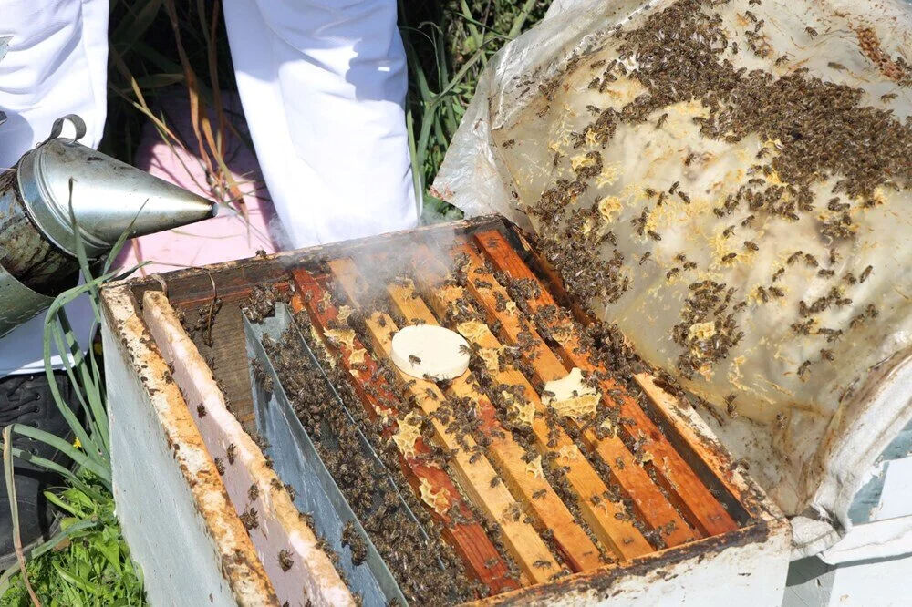 Genç mühendis ata mesleğini sürdürdü! Şimdi o işi yapıyor! Paraya para demiyor! Yurt dışından talep yağıyor... Genç mühendis ata mesleğini sürdürdü! Şimdi o işi yapıyor! Paraya para demiyor! Yurt dışından talep yağıyor... - 4. Resim