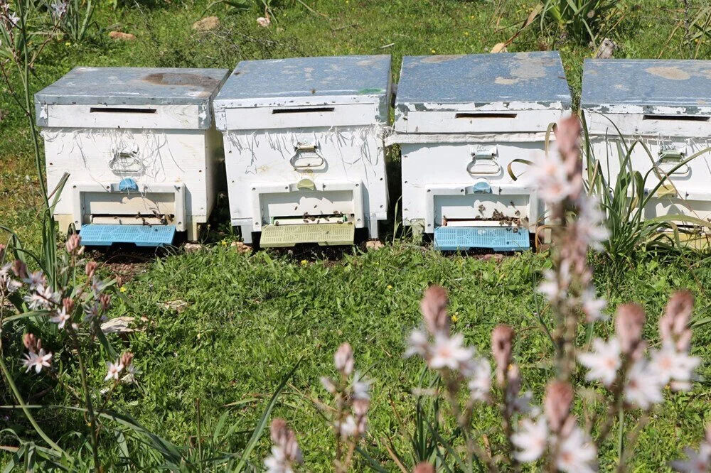 Genç mühendis ata mesleğini sürdürdü! Şimdi o işi yapıyor! Paraya para demiyor! Yurt dışından talep yağıyor... Genç mühendis ata mesleğini sürdürdü! Şimdi o işi yapıyor! Paraya para demiyor! Yurt dışından talep yağıyor... - 2. Resim