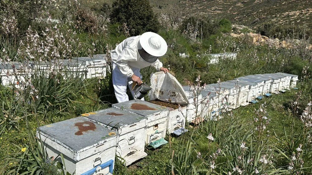 Genç mühendis ata mesleğini sürdürdü! Şimdi o işi yapıyor! Paraya para demiyor! Yurt dışından talep yağıyor... Genç mühendis ata mesleğini sürdürdü! Şimdi o işi yapıyor! Paraya para demiyor! Yurt dışından talep yağıyor... - 3. Resim