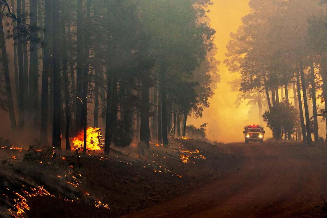 New York’ta olağanüstü hal ilan edildi! Orman yangınları kontrolden çıktı - 1. Resim