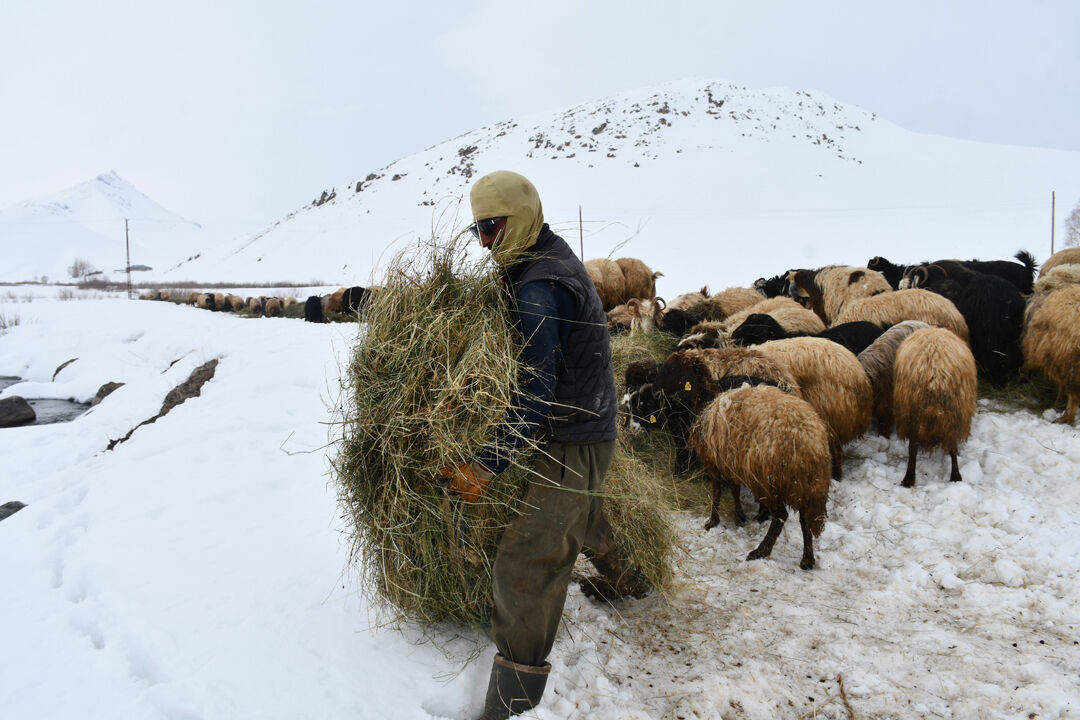 1 ay okul, 20 yıl dağlar... Tek bir şehir yüzü görmeyen 26 yaşındaki film gibi hikayesi - 2. Resim