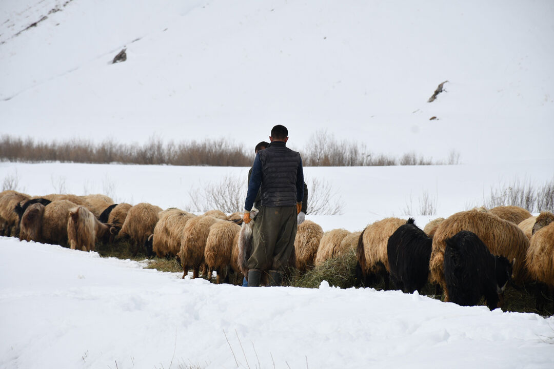 1 ay okul, 20 yıl dağlar... Tek bir şehir yüzü görmeyen 26 yaşındaki film gibi hikayesi - 1. Resim