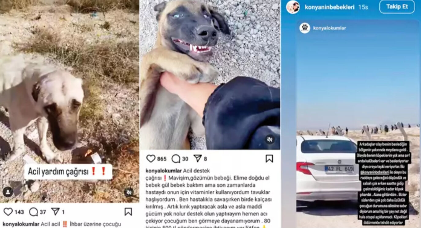 2 yaşındaki minik Rana'yı hayattan koparan köpekleri kaçırdılar! Yaptıkları paylaşım kan dondurdu - 1. Resim