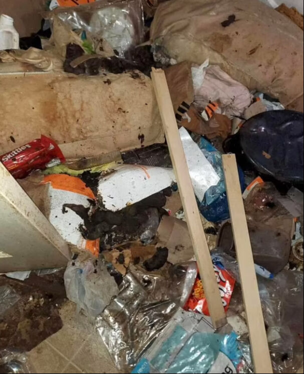 7 çocuğunu çöp dolu evde ölüme terk etmişti! Komşuları harekete geçti 7 çocuğunu çöp dolu evde ölüme terk etmişti! Komşuları harekete geçti - 2. Resim