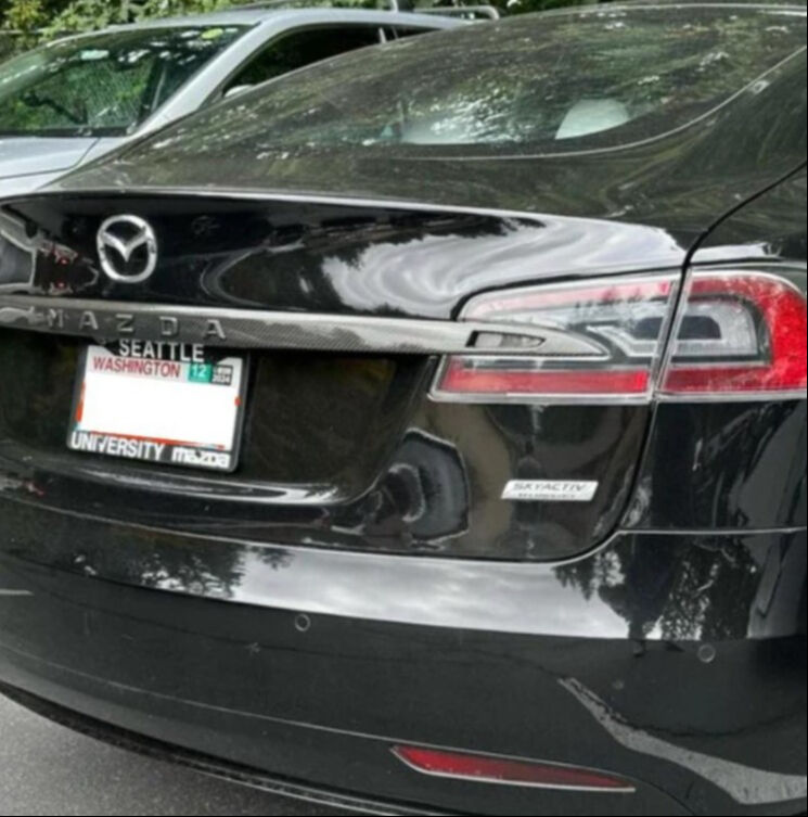 Elon Musk, Trump’a yaklaştıkça Tesla satışları düşüyor - 2. Resim