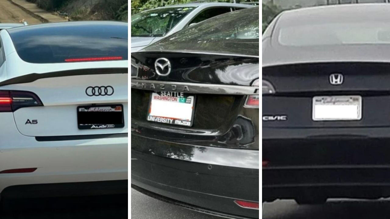 Elon Musk, Trump’a yaklaştıkça Tesla satışları düşüyor - 1. Resim