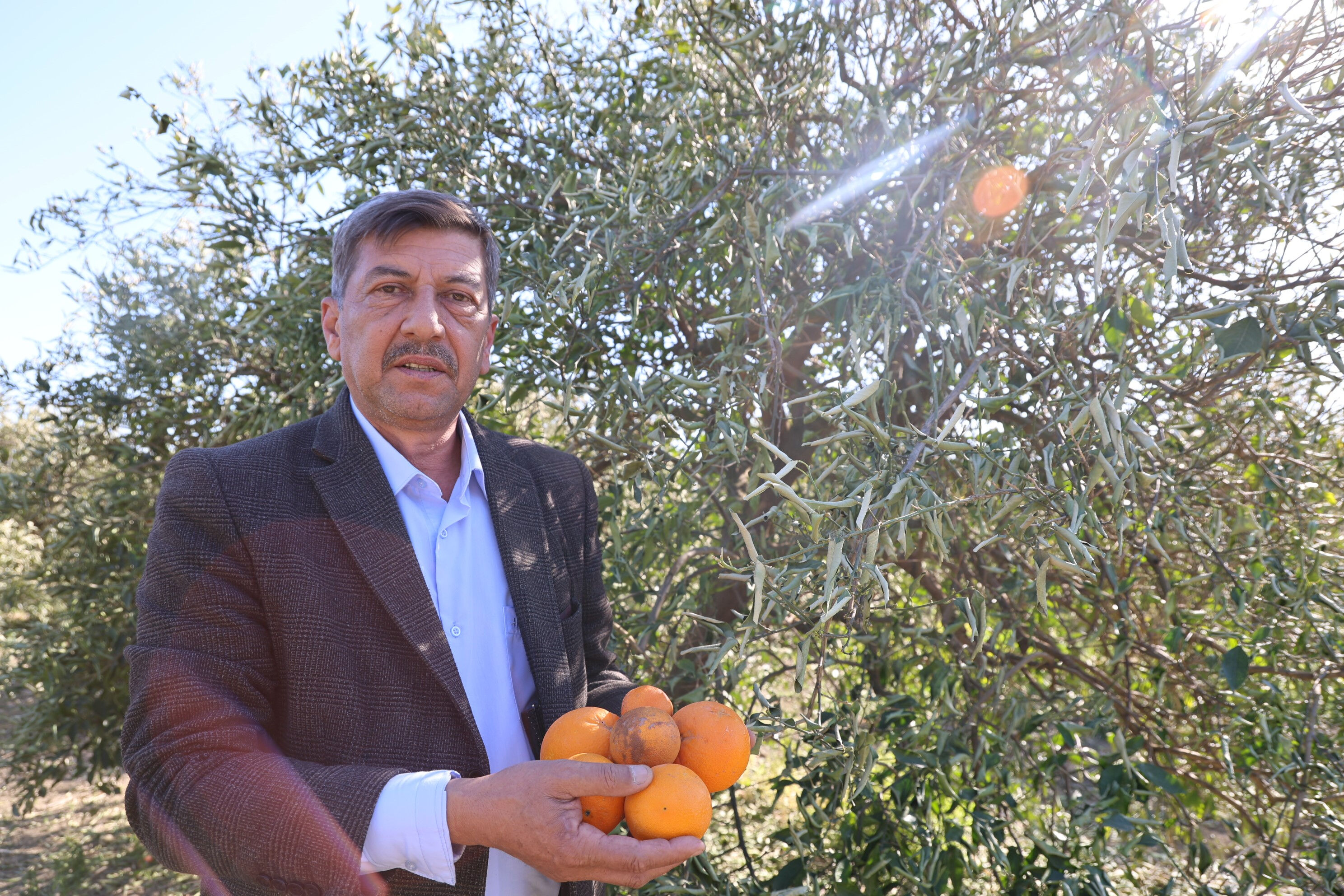 Sibirya soğukları bu yılı değil gelecek yılı da vurdu! Sofralar yanacak, zam ve kıtlık kapıda - 2. Resim