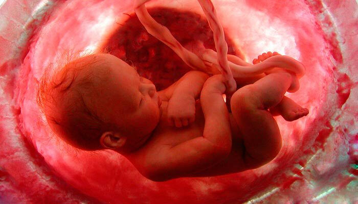 Anne karnında hayat: Bebeğinizin 9 aylık mucizevi yolculuğu Anne karnında hayat: Bebeğinizin 9 aylık mucizevi yolculuğu - 2. Resim