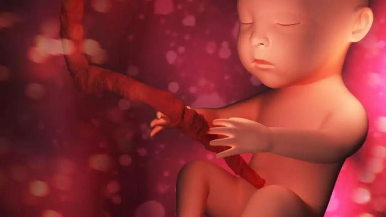 Anne karnında hayat: Bebeğinizin 9 aylık mucizevi yolculuğu Anne karnında hayat: Bebeğinizin 9 aylık mucizevi yolculuğu - 4. Resim