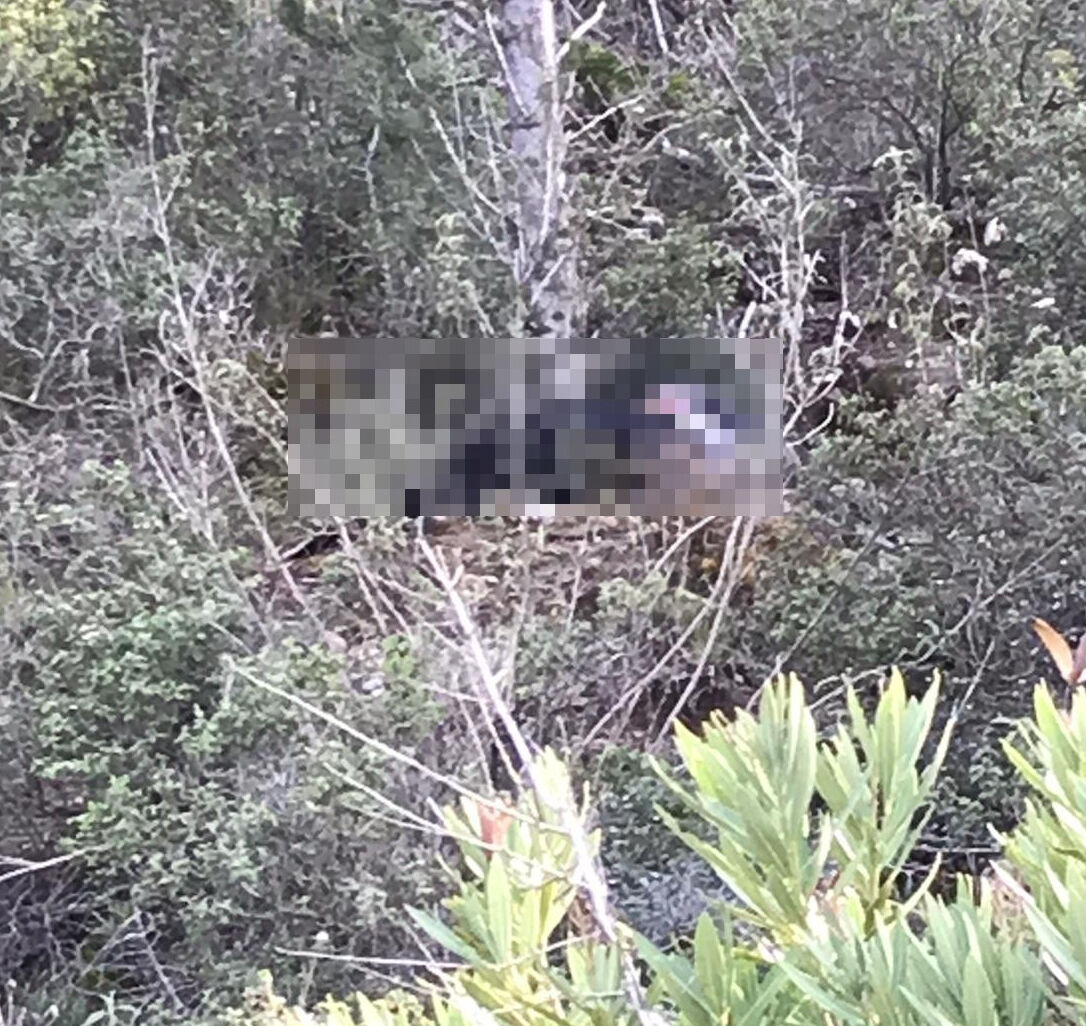 Kesik baş cinayetinde gerçek ortaya çıktı! Her şey define içinmiş Kesik baş cinayetinde gerçek ortaya çıktı! Her şey define içinmiş - 2. Resim