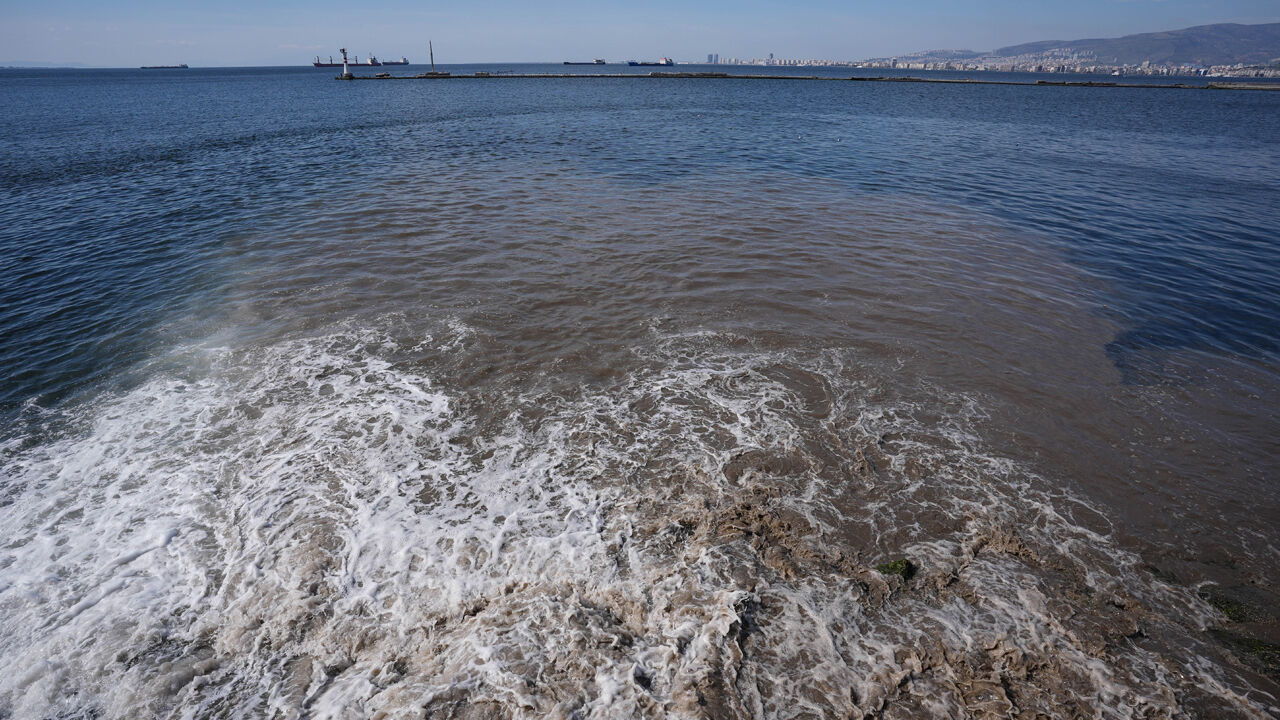 Körfezde alarm! Denizin rengi değişti, İzmirliler isyan etti: Bu göz göre göre yapılamaz - 3. Resim