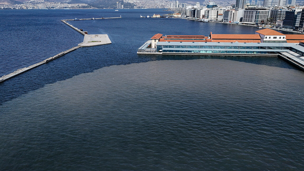 Körfezde alarm! Denizin rengi değişti, İzmirliler isyan etti: Bu göz göre göre yapılamaz - 2. Resim