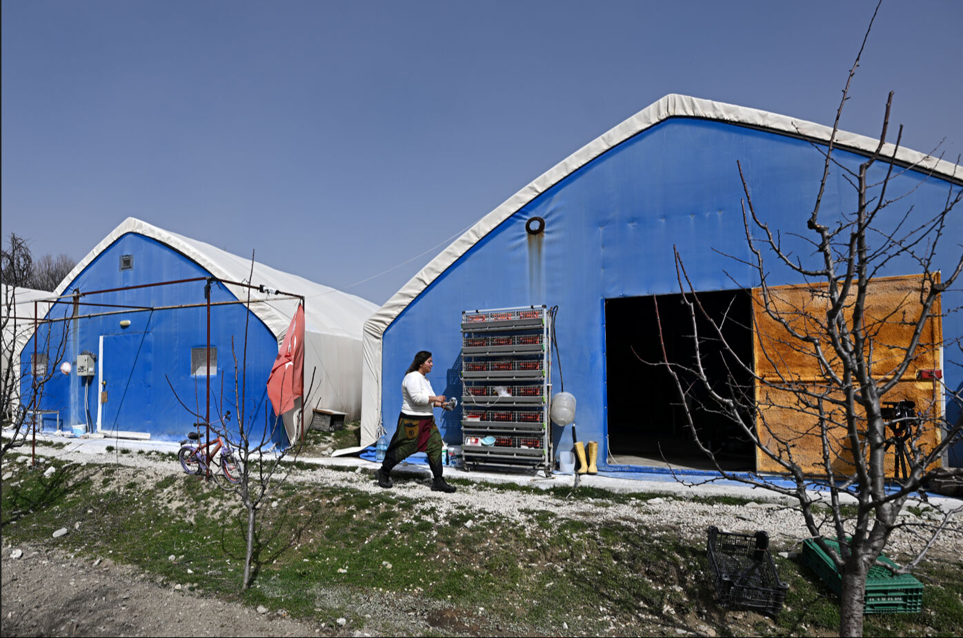 Şehir hayatını bırakan çift köyde tesis kurdu! 35 çeşit mantar üretiyorlar - 2. Resim