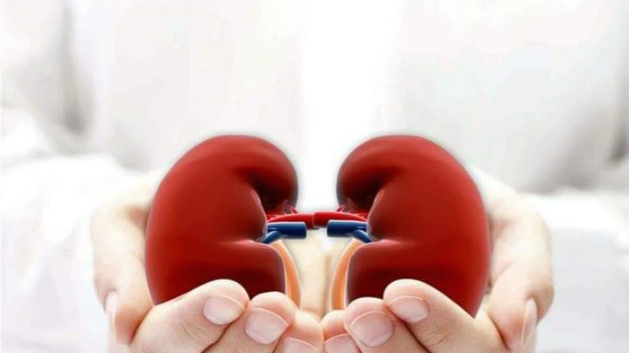 13 mart ne günü? 13 Mart tarihinde neler oldu? - 1. Resim