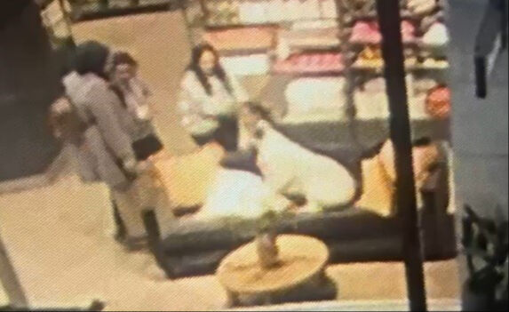 AVM'de köpek dehşeti! Mağazada 3 yaşındaki çocuğa saldırdı AVM'de köpek dehşeti! Mağazada 3 yaşındaki çocuğa saldırdı - 2. Resim