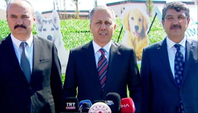 Başıboş sokak köpekleri dehşet saçmıştı! Bakan Yerlikaya: Belediyeler 2 ayda bir denetlenecek - 1. Resim