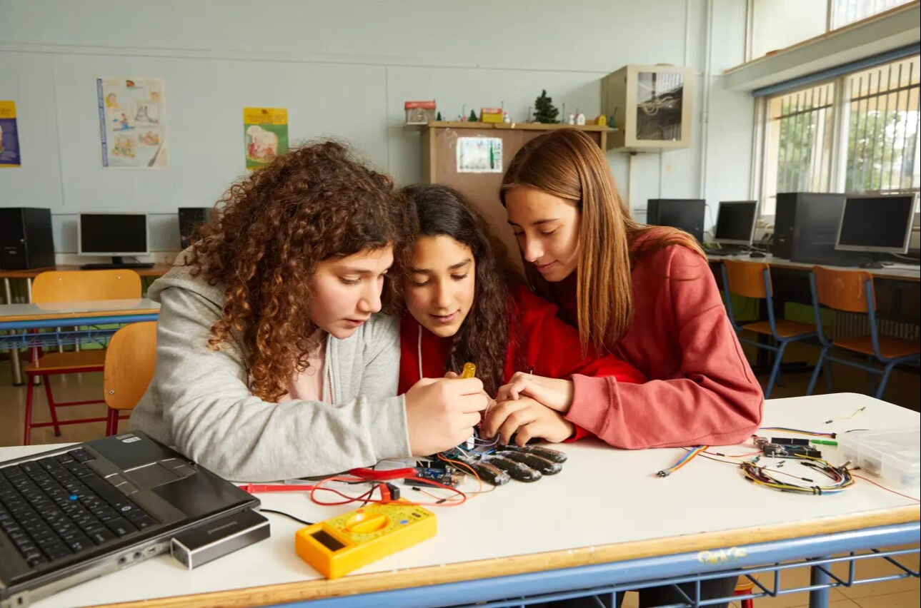Gençlerimizi harcıyoruz! İstihdam ile mezun arasında uçurum var: İş dünyası da dertli, öğrenci de rektör de... Gençlerimizi harcıyoruz! İstihdam ile mezun arasında uçurum var: İş dünyası da dertli, öğrenci de rektör de... - 2. Resim