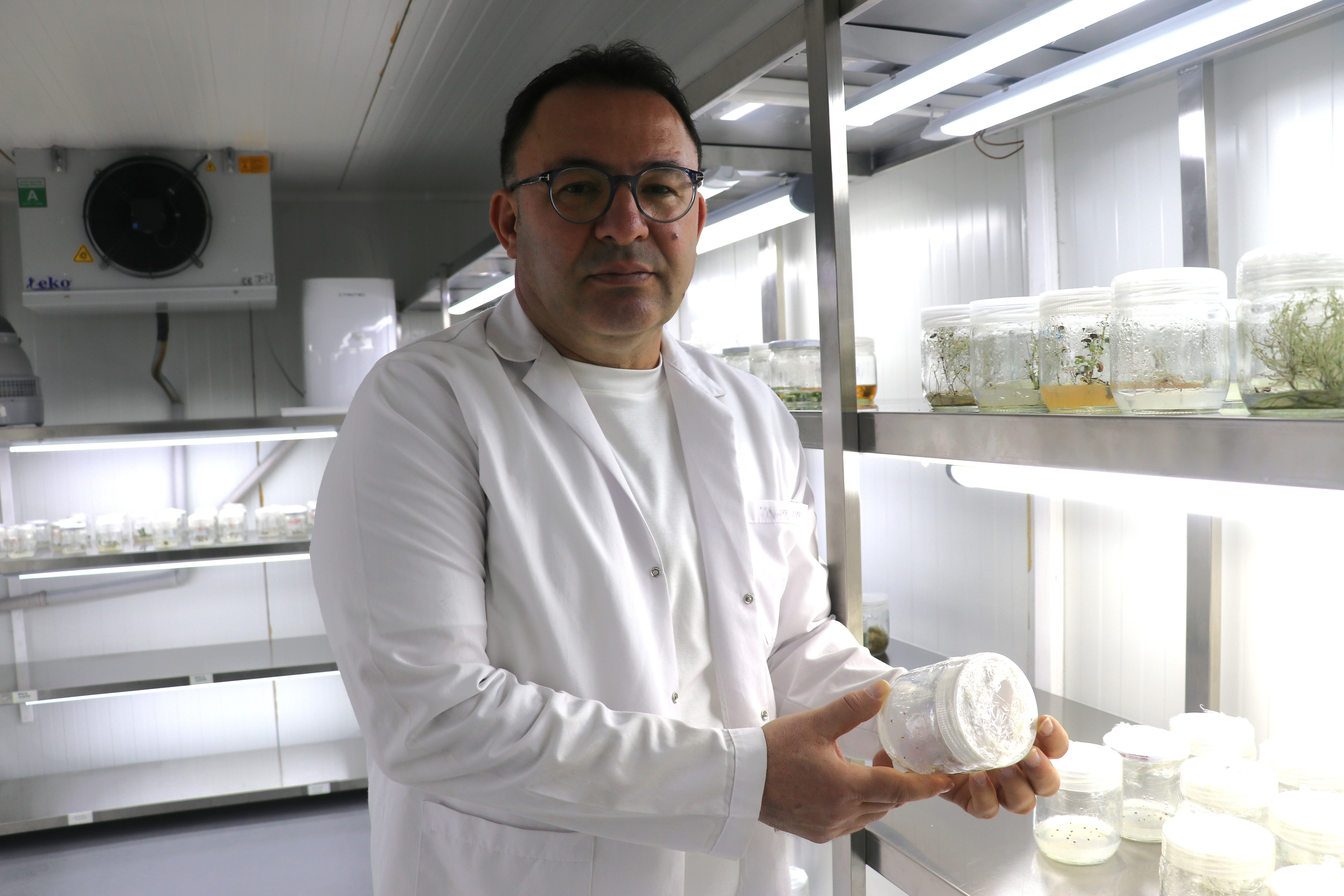 Sahurda tüketin susuz kalmayın... Yoğurtla karıştırınca tok tutan tohumu uzmanlar ramazanda tavsiye ediyor - 2. Resim