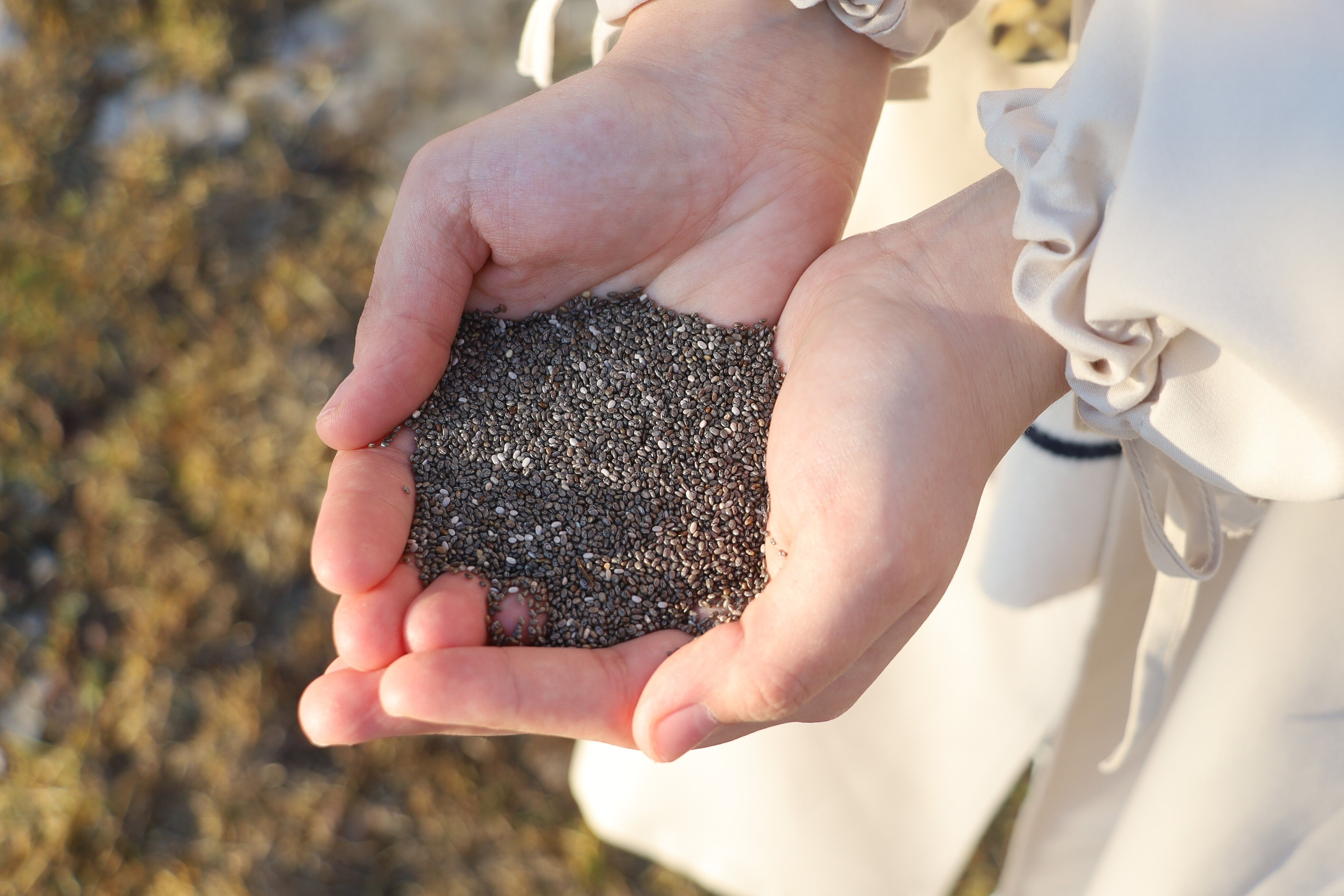Sahurda tüketin susuz kalmayın... Yoğurtla karıştırınca tok tutan tohumu uzmanlar ramazanda tavsiye ediyor - 1. Resim