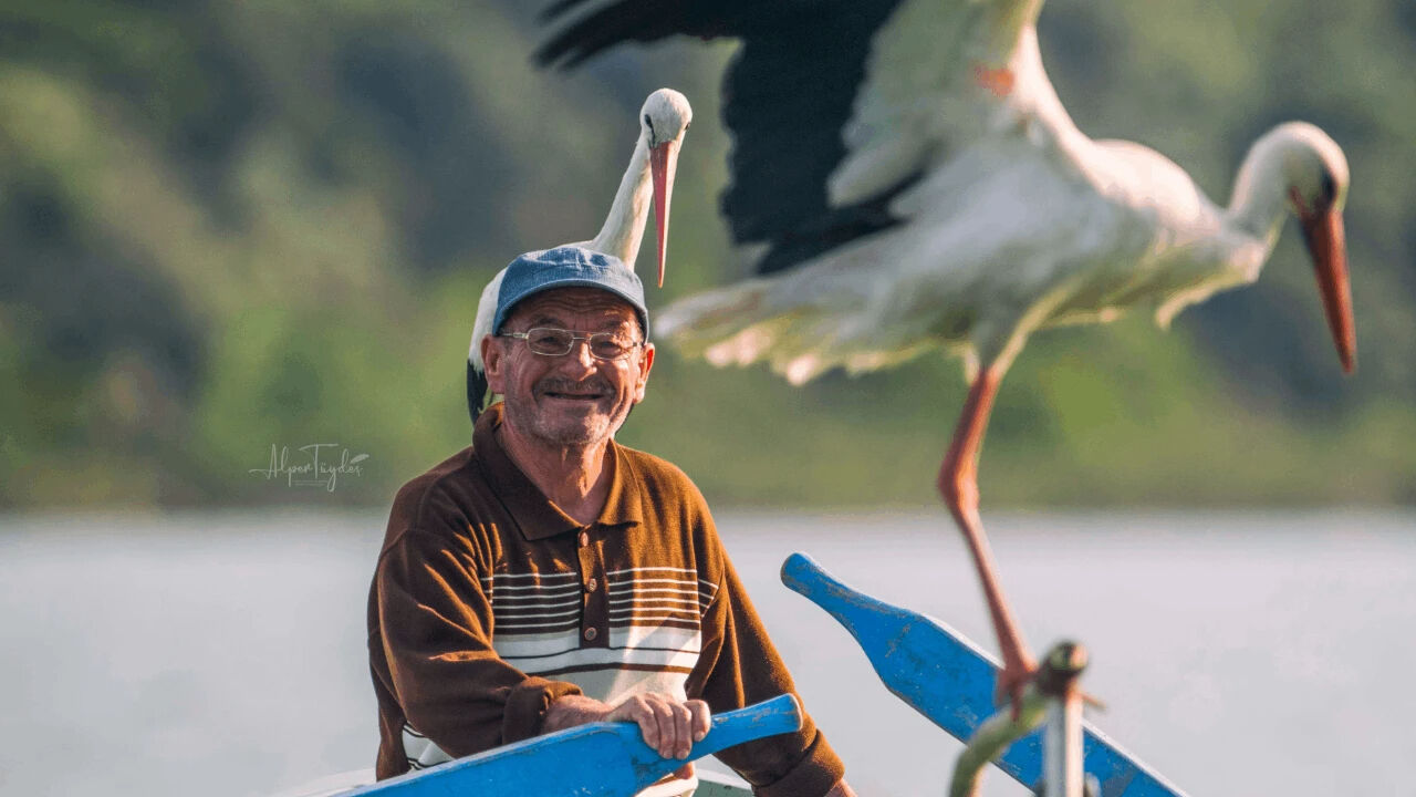 Yaren Leylek geldi mi, öldü mü, nerede? Balıkçı Adem Yılmaz Yaren Leylek yerine eşi Nazlı ile buluştu! Yaren Leylek geldi mi, öldü mü, nerede? Balıkçı Adem Yılmaz Yaren Leylek yerine eşi Nazlı ile buluştu! - 2. Resim