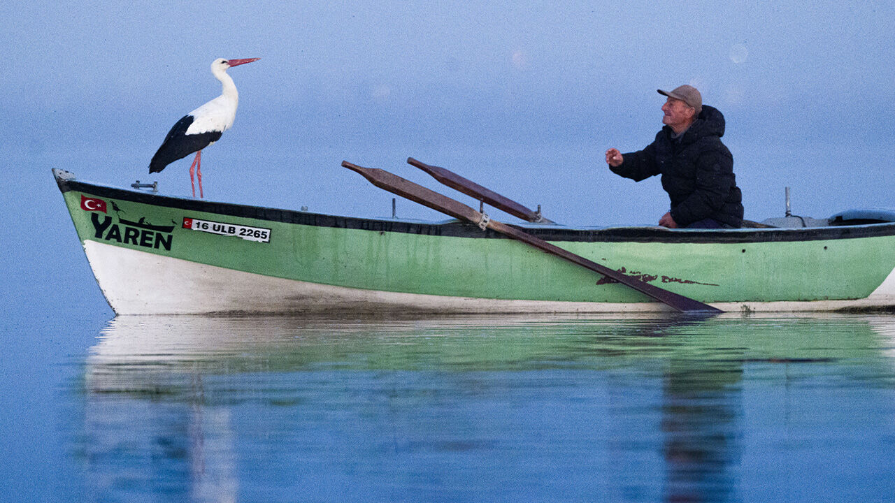 Yaren leylek 14. yılda da geldi Yaren leylek 14. yılda da geldi - 1. Resim