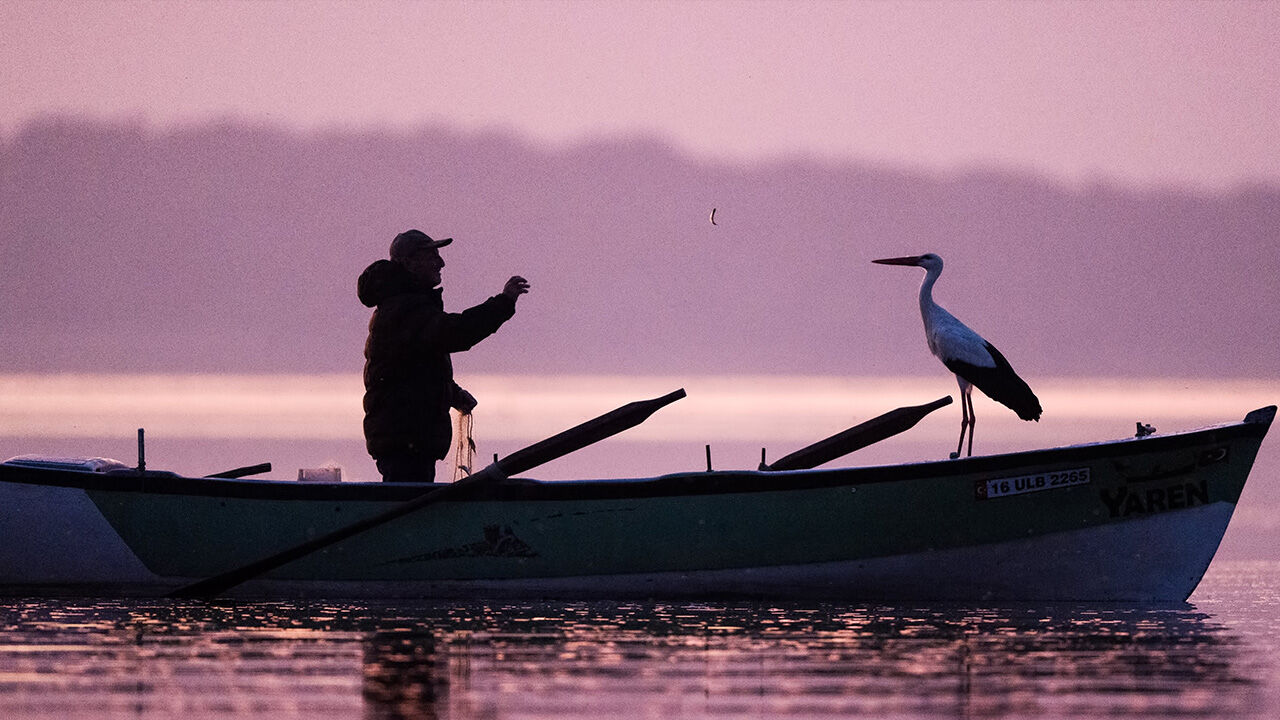 Yaren leylek 14. yılda da geldi Yaren leylek 14. yılda da geldi - 3. Resim