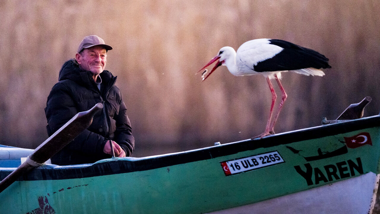 Yaren leylek 14. yılda da geldi Yaren leylek 14. yılda da geldi - 2. Resim