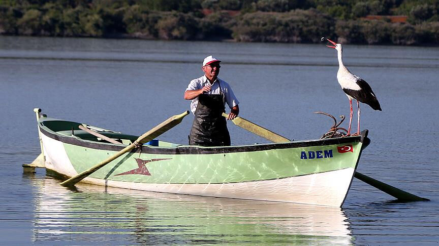 Yeren Leylek geldi mi? 14. yılda balıkçı Adem Yılmaz ile Yaren leyleğin buluşması merakla bekleniyor! - 2. Resim