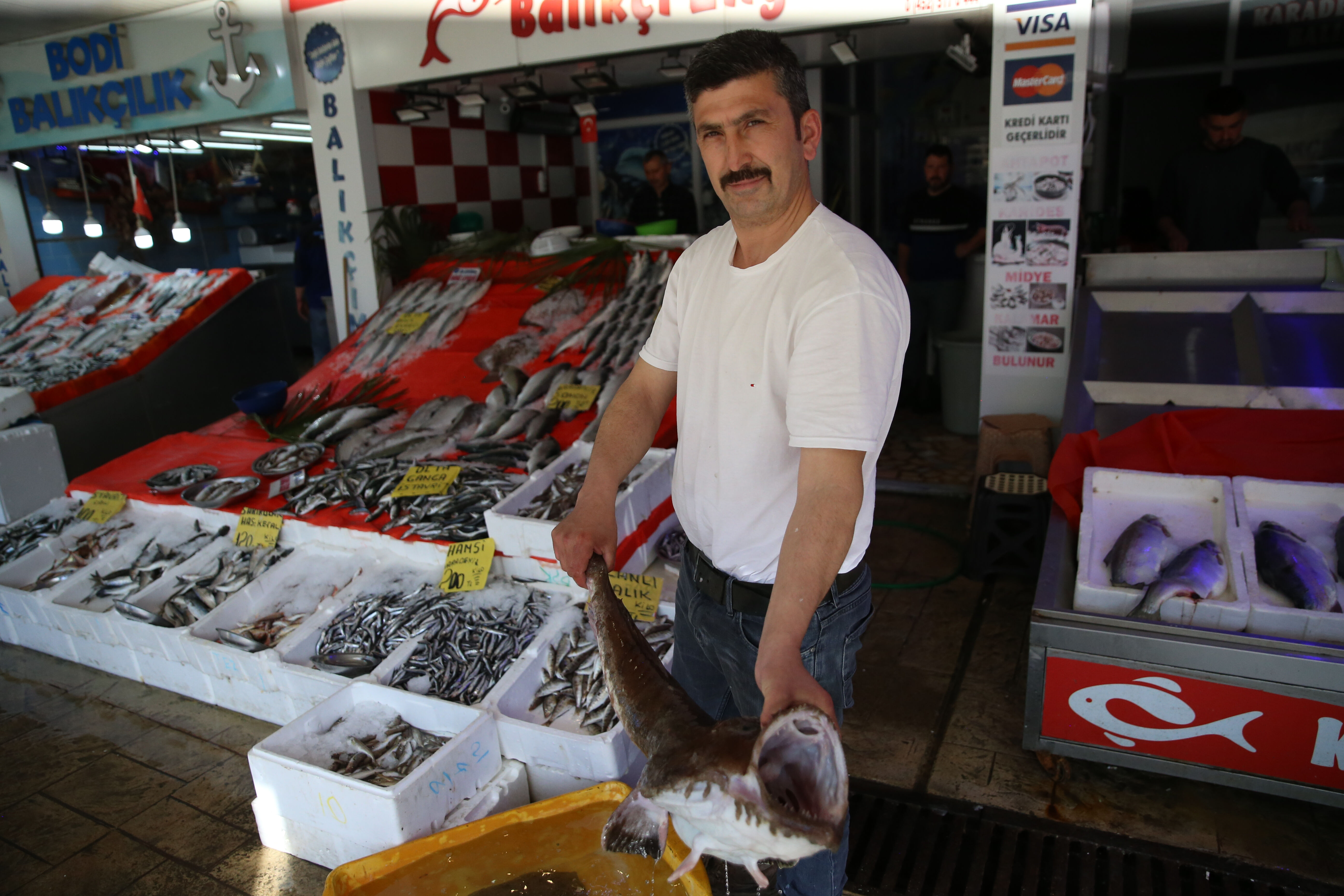 Karadeniz'de ağlara takıldı, gören şaştı kaldı! Kilosu 500 liradan satışta Karadeniz'de ağlara takıldı, gören şaştı kaldı! Kilosu 500 liradan satışta - 1. Resim