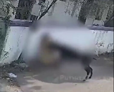 Hindistan’da dehşet anları! Başıboş inek anne ve çocuğuna saldırdı - 1. Resim