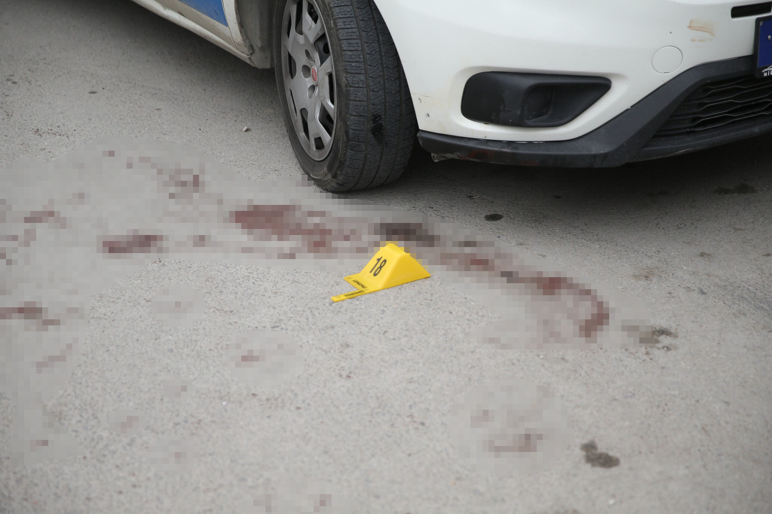 Madde bağımlısı şahıs dehşet saçtı! İhbara giden polislere bıçak ve keserle saldırdı - 1. Resim