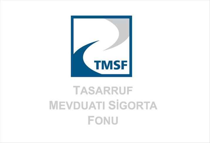 TMSF açılımı nedir, görevleri neler? TMSF ne işe yarar? - 1. Resim