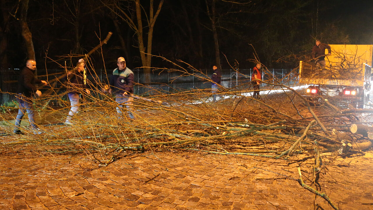 Edirne'yi şiddetli sağanak vurdu: Ağaçlar devrildi, caddeler göle döndü - 1. Resim