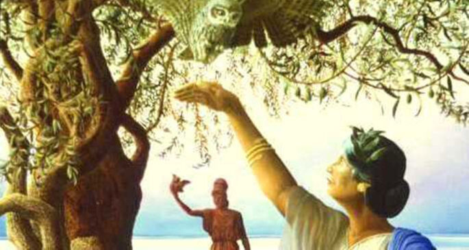 Yeşil mi siyah mı hangi zeytin daha sağlıklı? Yeşil mi siyah mı hangi zeytin daha sağlıklı? - 3. Resim