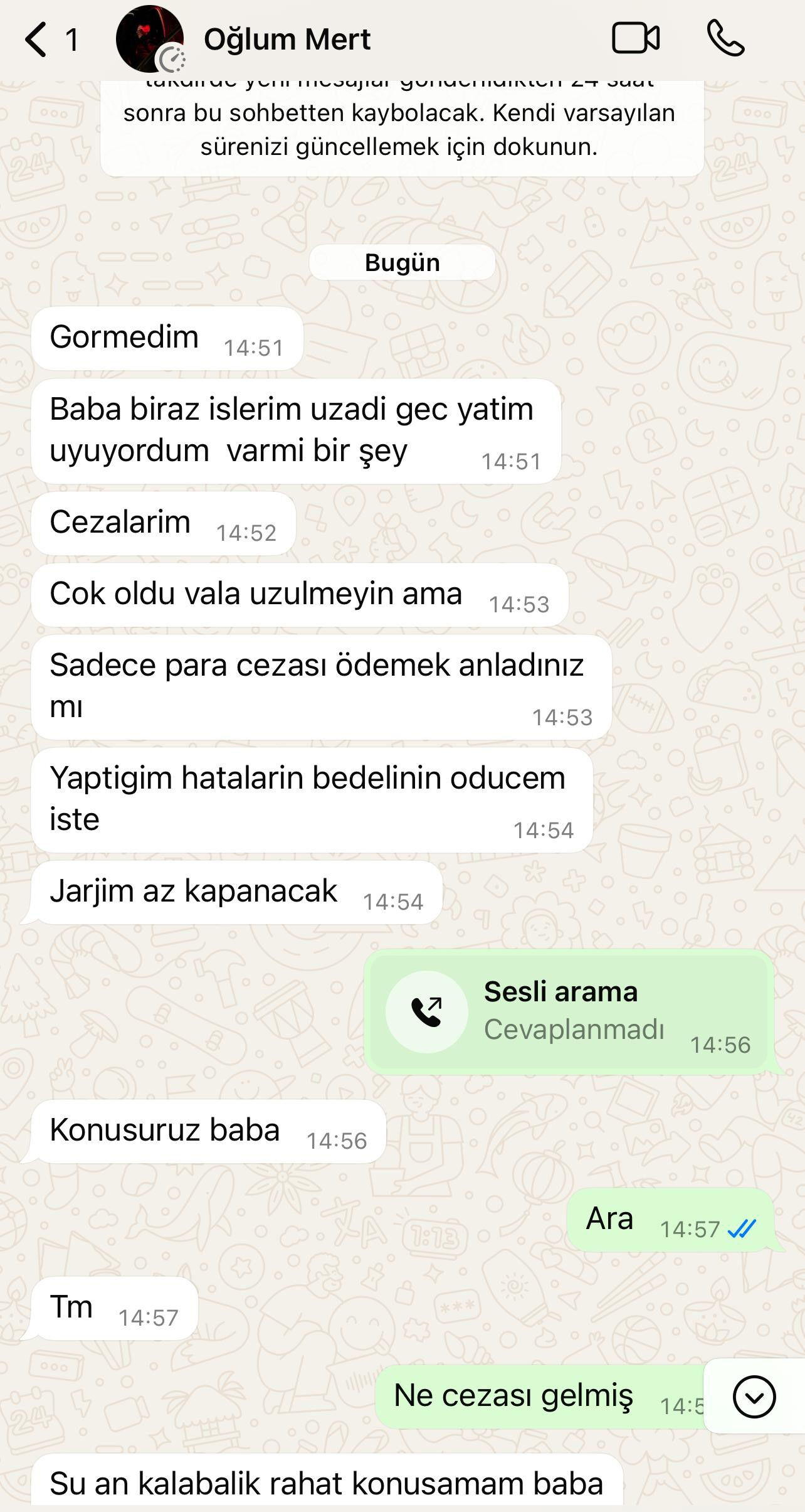 Film gibi cinayet! Katil öldürdüğü gencin telefonundan ailesine mesaj atarak hedef saptırdı - 6. Resim
