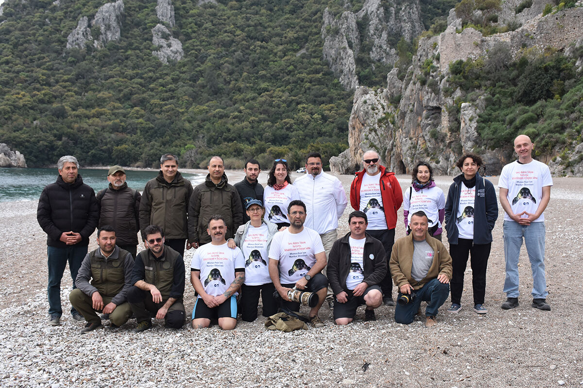 Ölmek üzereydi, tedavi edildi! Eskişehir'e götürülen Akdeniz foku Antalya'da tekrar denize bırakıldı - 4. Resim