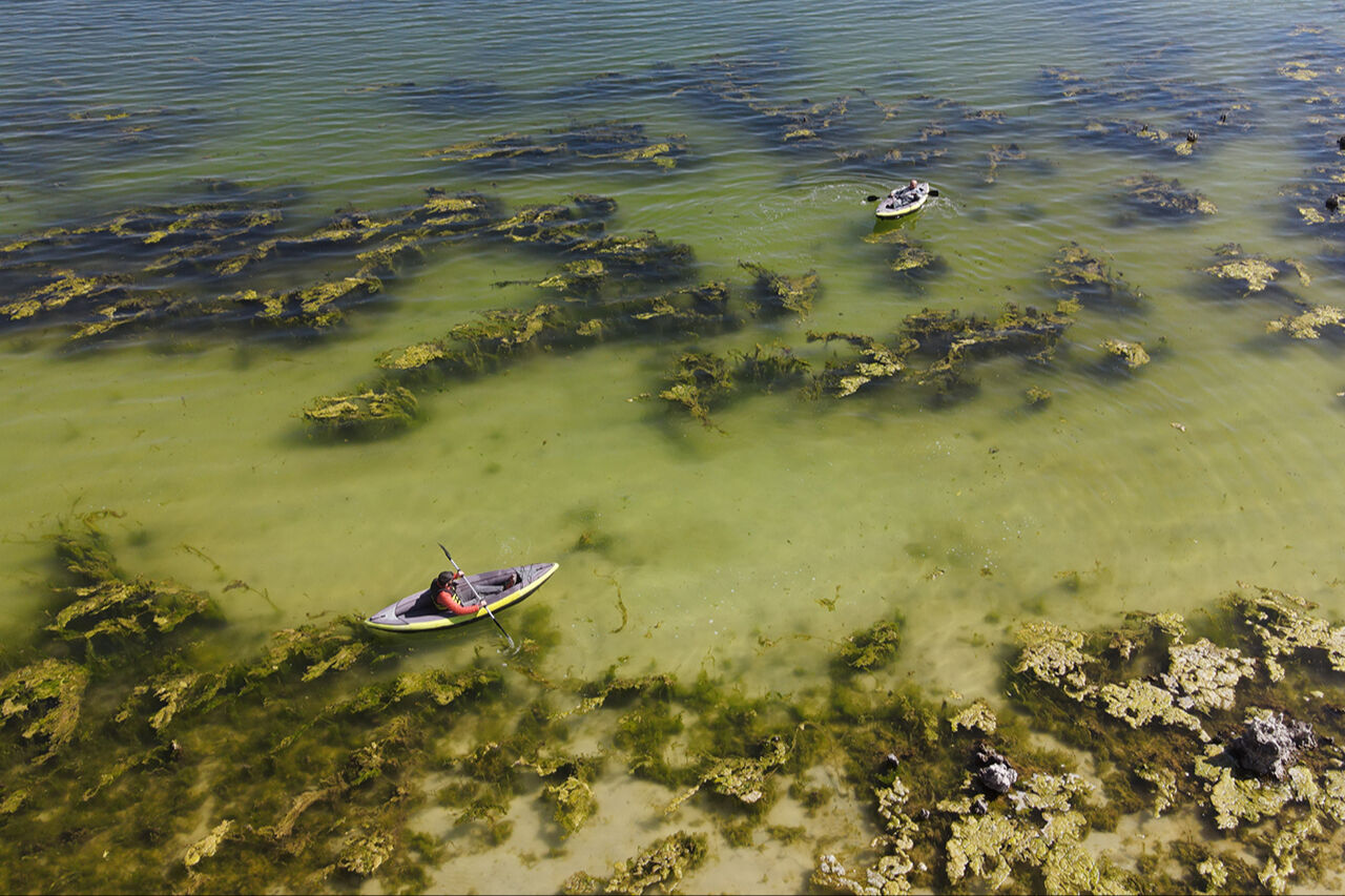 Su altının peribacaları! Van Gölü çekildi, rengarenk mikrobiyalitler ortaya çıktı - 1. Resim