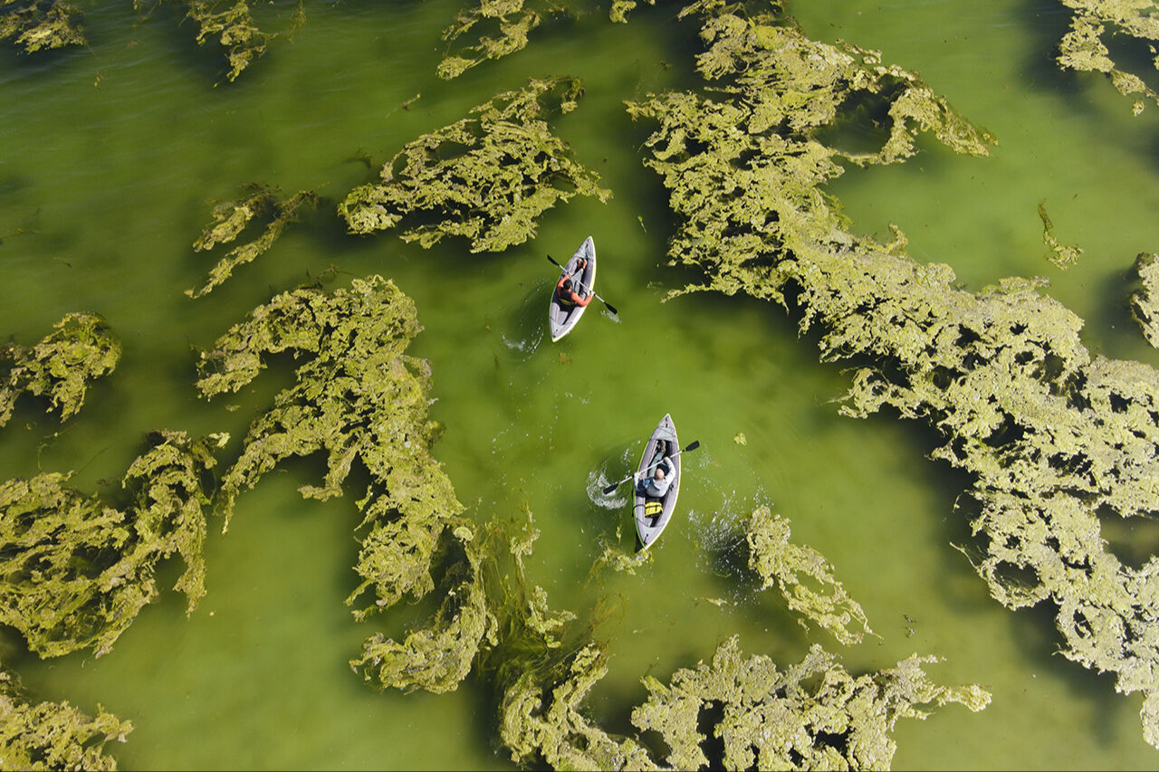Su altının peribacaları! Van Gölü çekildi, rengarenk mikrobiyalitler ortaya çıktı - 7. Resim