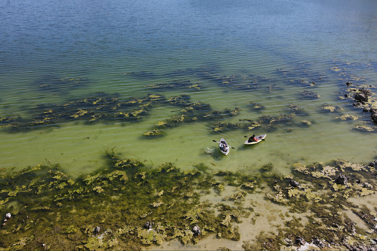 Su altının peribacaları! Van Gölü çekildi, rengarenk mikrobiyalitler ortaya çıktı - 3. Resim