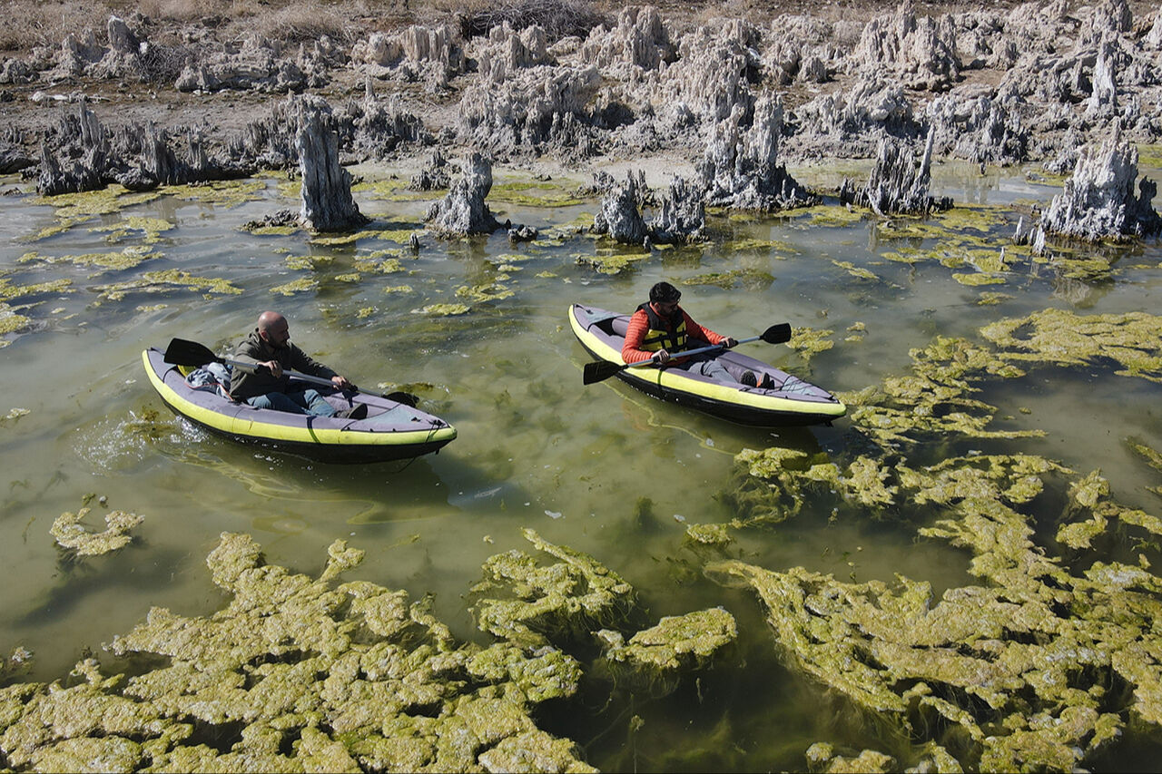 Su altının peribacaları! Van Gölü çekildi, rengarenk mikrobiyalitler ortaya çıktı - 4. Resim