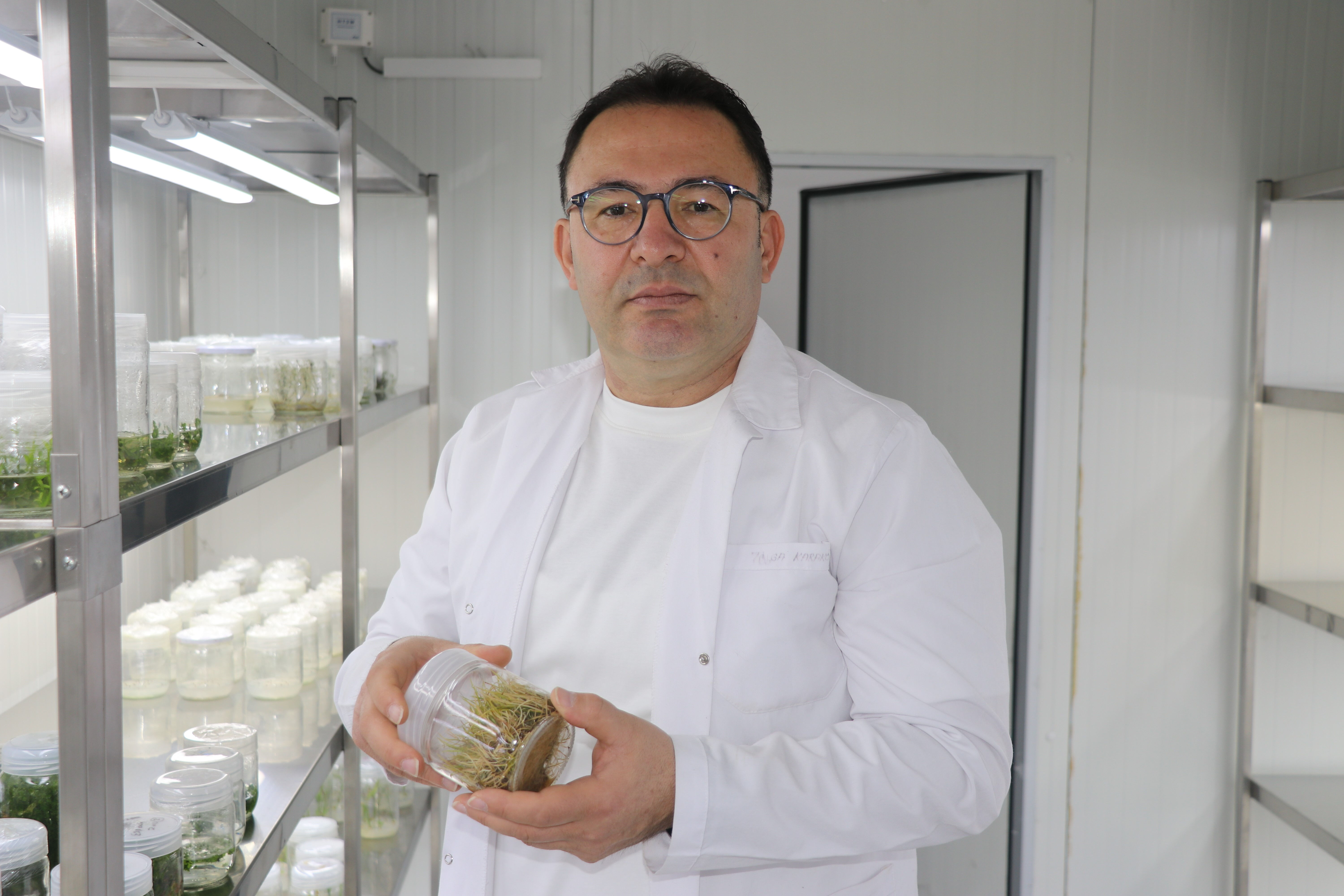 Hem şerbeti hem de çayı var... Uzmanlar uyardı! Bu bitkiyi fazla tüketenler yandı - 1. Resim