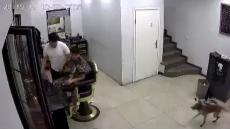 Kuaförde korku dolu anlar! Zincirini koparan köpek müşteriyi ısırdı - 2. Resim