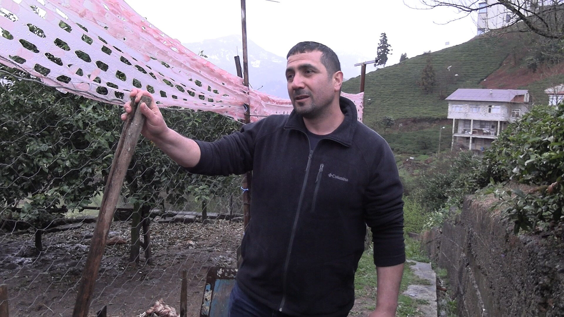 Sokak köpekleri dehşet saçtı! 86 tavuğu telef ettiler - 1. Resim